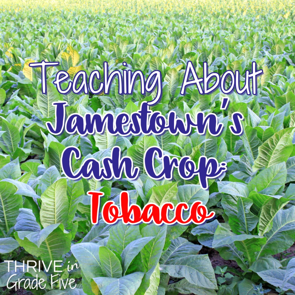 Teaching About Jamestown's Cash Crop, Tobacco
