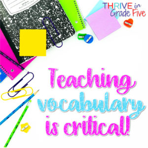 Teaching Vocabulary in Social Studies Class
