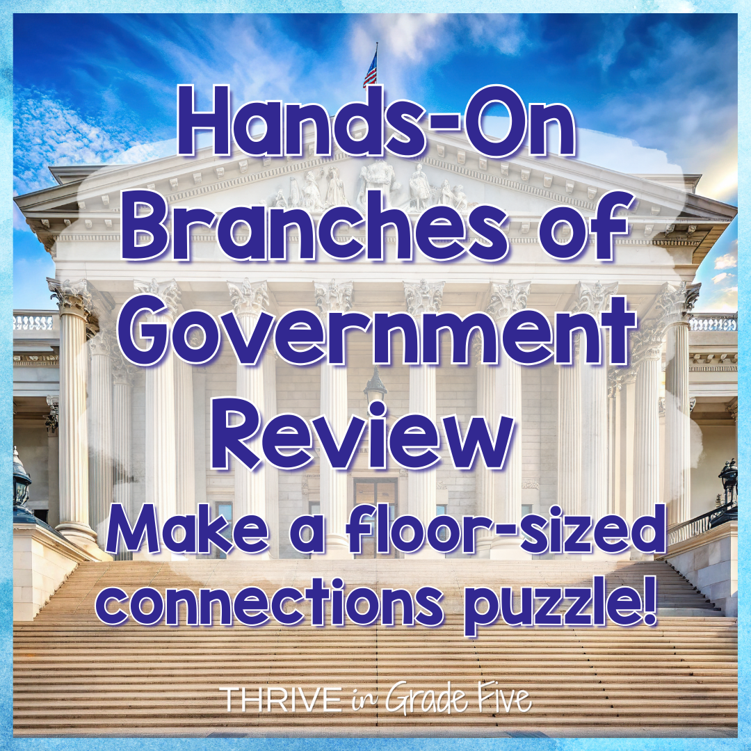 Hands-On Branches of Government Review Activity